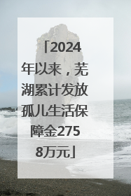 2024年以来，芜湖累计发放孤儿生活保障金2758万元