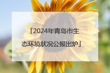 2024年青岛市生态环境状况公报出炉