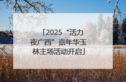 2025“活力夜广西”嘉年华玉林主场活动开启