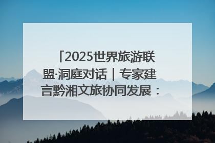2025世界旅游联盟·洞庭对话｜专家建言黔湘文旅协同发展：聚焦产品稀缺性 深化区域经验共享