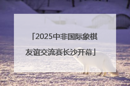 2025中非国际象棋友谊交流赛长沙开幕