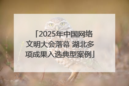2025年中国网络文明大会落幕 湖北多项成果入选典型案例