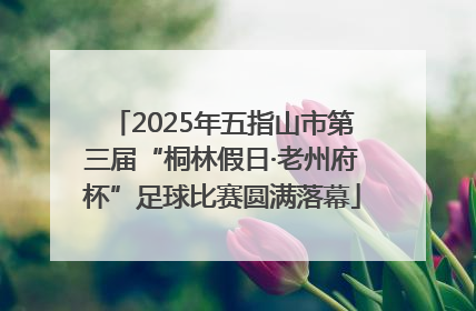 2025年五指山市第三届“桐林假日·老州府杯”足球比赛圆满落幕