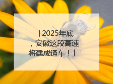 2025年底，安徽这段高速将建成通车！
