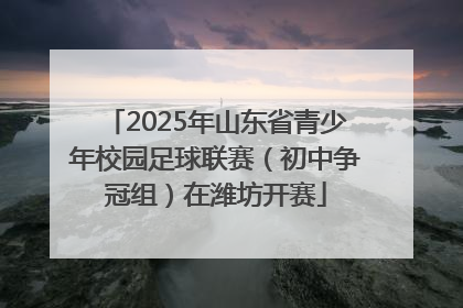 2025年山东省青少年校园足球联赛（初中争冠组）在潍坊开赛