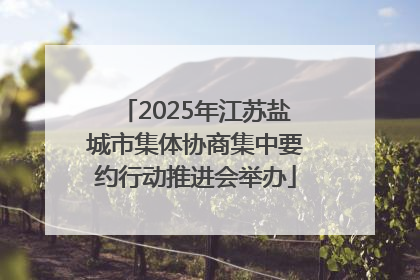 2025年江苏盐城市集体协商集中要约行动推进会举办