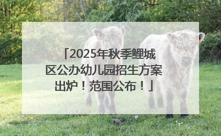 2025年秋季鲤城区公办幼儿园招生方案出炉！范围公布！