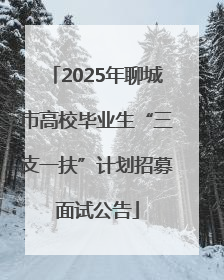 2025年聊城市高校毕业生“三支一扶”计划招募面试公告
