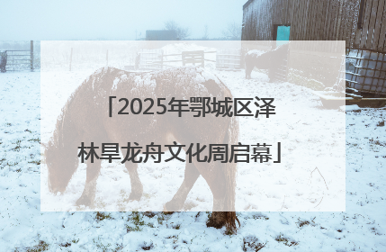2025年鄂城区泽林旱龙舟文化周启幕