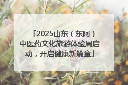 2025山东（东阿）中医药文化旅游体验周启动，开启健康新篇章