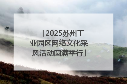 2025苏州工业园区网络文化采风活动圆满举行