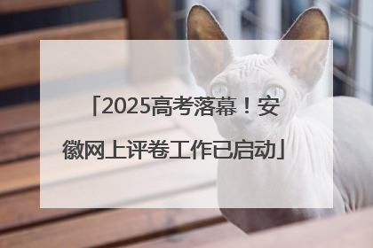2025高考落幕！安徽网上评卷工作已启动