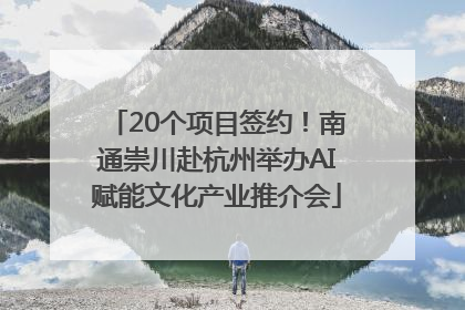20个项目签约！南通崇川赴杭州举办AI赋能文化产业推介会