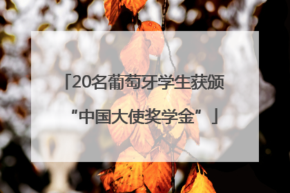 20名葡萄牙学生获颁“中国大使奖学金”