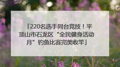 220名选手同台竞技！平顶山市石龙区“全民健身活动月”钓鱼比赛完美收竿