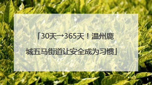 30天→365天！温州鹿城五马街道让安全成为习惯