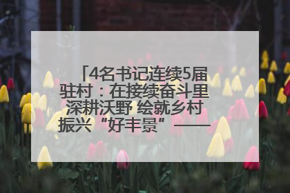 4名书记连续5届驻村：在接续奋斗里深耕沃野 绘就乡村振兴“好丰景”——浦发银行南京分行助力脱贫攻坚、帮促乡村振兴记事（二）