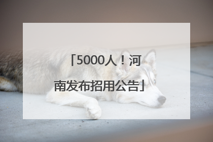 5000人！河南发布招用公告