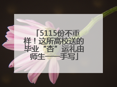 5115份不重样！这所高校送的毕业“杏”运礼由师生一一手写
