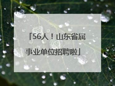 56人！山东省属事业单位招聘啦