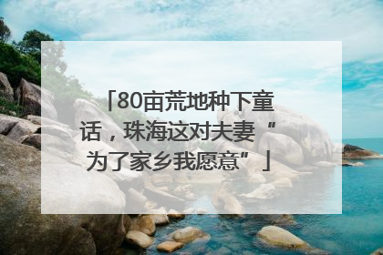 80亩荒地种下童话，珠海这对夫妻“为了家乡我愿意”