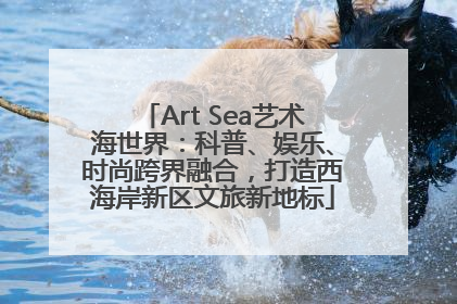 Art Sea艺术海世界：科普、娱乐、时尚跨界融合，打造西海岸新区文旅新地标