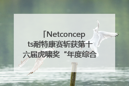 Netconcepts耐特康赛斩获第十六届虎啸奖“年度综合服务商”大奖